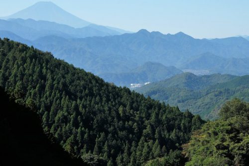 近所のスーパーですらつらかった57歳が高尾山を歩けるようになった話